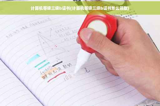 计算机等级三级b证书(计算机等级三级b证书怎么领取)