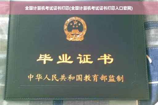 全国计算机考试证书打印(全国计算机考试证书打印入口官网)