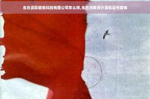 东台润田精密科技有限公司怎么样,东台市教师计算机证书查询