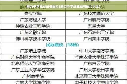 群力中学毕业证书图片(群力中学毕业证书图片大全)