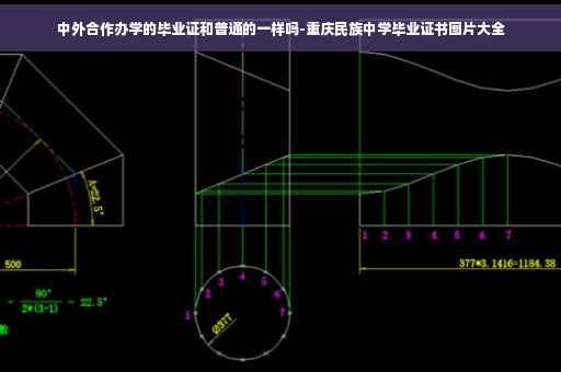 中外合作办学的毕业证和普通的一样吗-重庆民族中学毕业证书图片大全
