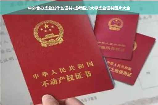 中外合办毕业发什么证书-成考临沂大学毕业证书图片大全