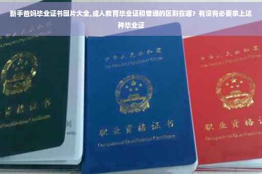 新手爸妈毕业证书图片大全,成人教育毕业证和普通的区别在哪？有没有必要拿上这种毕业证