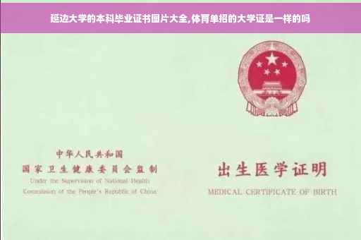 延边大学的本科毕业证书图片大全,体育单招的大学证是一样的吗