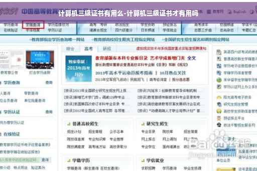 计算机三级证书有用么-计算机三级证书才有用吗