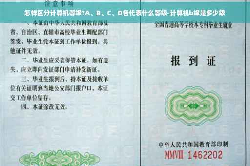 怎样区分计算机等级?A、B、C、D各代表什么等级-计算机b级是多少级