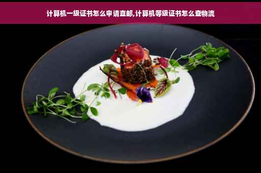 计算机一级证书怎么申请直邮,计算机等级证书怎么查物流