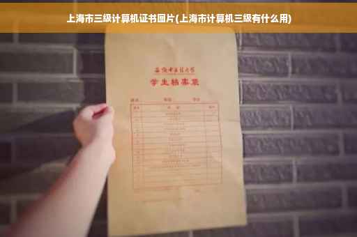 上海市三级计算机证书图片(上海市计算机三级有什么用)