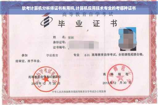 软考计算机分析师证书有用吗,计算机应用技术专业的考哪种证书