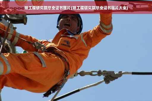 哈工程研究院毕业证书图片(哈工程研究院毕业证书图片大全)