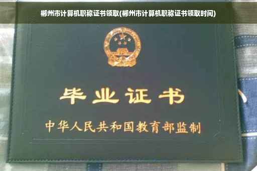 郴州市计算机职称证书领取(郴州市计算机职称证书领取时间)