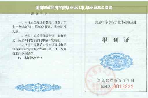 湖南财政经济学院毕业证几本,毕业证怎么查询
