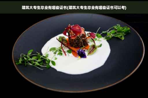 建筑大专生毕业有哪些证书(建筑大专生毕业有哪些证书可以考)