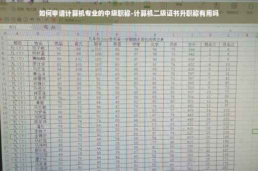 如何申请计算机专业的中级职称-计算机二级证书升职称有用吗