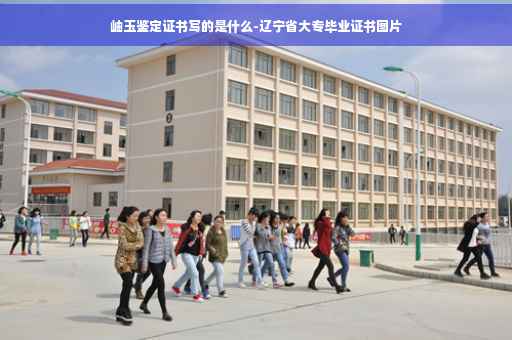 岫玉鉴定证书写的是什么-辽宁省大专毕业证书图片