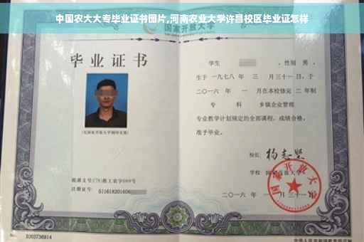 中国农大大专毕业证书图片,河南农业大学许昌校区毕业证怎样