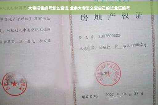 大专报告编号怎么查询,业余大专怎么查自己的毕业证编号