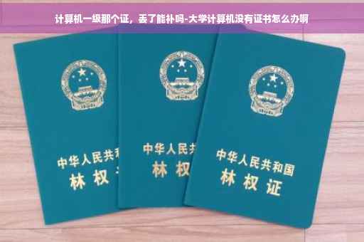 计算机一级那个证，丢了能补吗-大学计算机没有证书怎么办啊