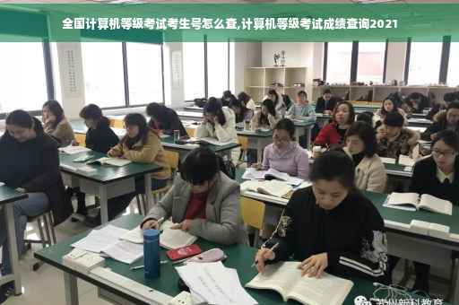 全国计算机等级考试考生号怎么查,计算机等级考试成绩查询2021