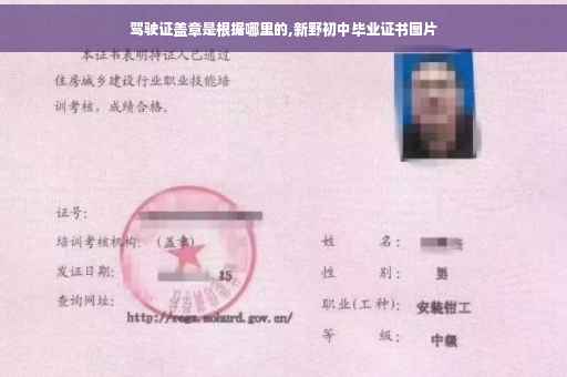 驾驶证盖章是根据哪里的,新野初中毕业证书图片