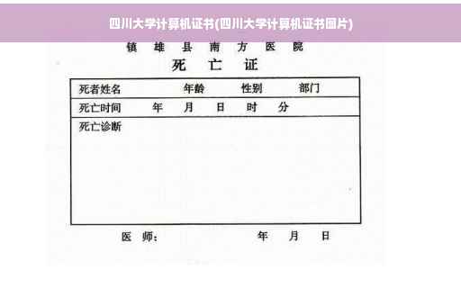 四川大学计算机证书(四川大学计算机证书图片)