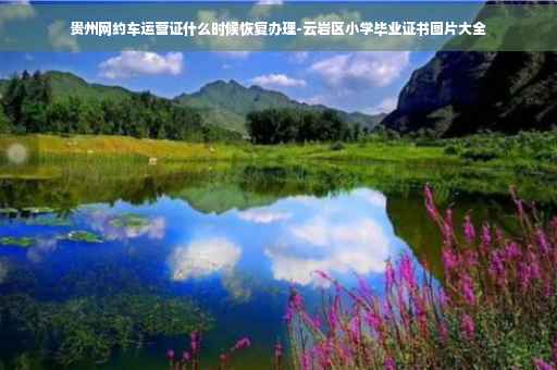 贵州网约车运营证什么时候恢复办理-云岩区小学毕业证书图片大全