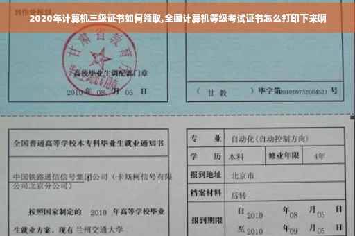2020年计算机三级证书如何领取,全国计算机等级考试证书怎么打印下来啊