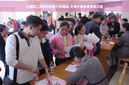 计算机二级证书的能力有哪些,大专计算机考试是几级