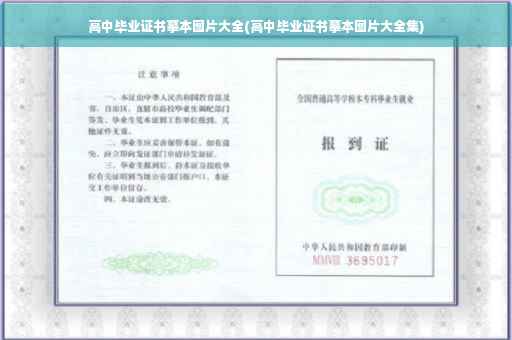 高中毕业证书摹本图片大全(高中毕业证书摹本图片大全集)