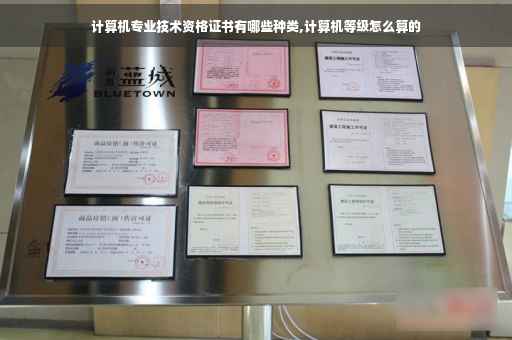 计算机专业技术资格证书有哪些种类,计算机等级怎么算的