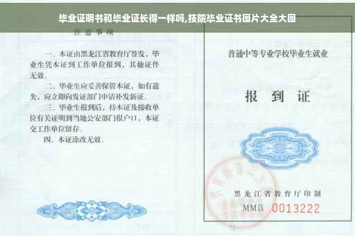 毕业证明书和毕业证长得一样吗,技院毕业证书图片大全大图