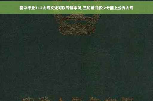 初中毕业3+2大专文凭可以专插本吗,三加证书多少分能上公办大专