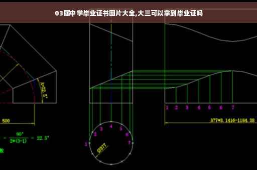 03届中学毕业证书图片大全,大三可以拿到毕业证吗