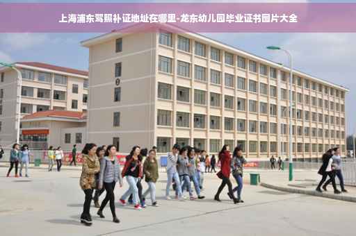 上海浦东驾照补证地址在哪里-龙东幼儿园毕业证书图片大全