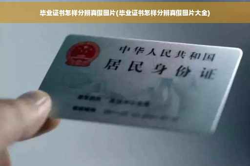 毕业证书怎样分辨真假图片(毕业证书怎样分辨真假图片大全)