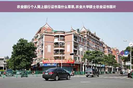 农业银行个人网上银行证书是什么意思,农业大学硕士毕业证书图片