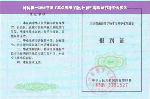 计算机一级证书没了怎么办电子版,计算机等级证书补办要多久