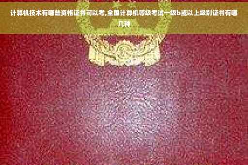 计算机技术有哪些资格证书可以考,全国计算机等级考试一级b或以上级别证书有哪几种
