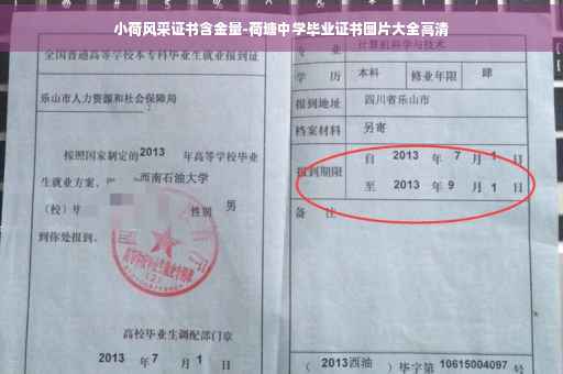 小荷风采证书含金量-荷塘中学毕业证书图片大全高清