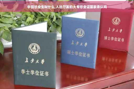 中技毕业生叫什么,人社厅发的大专毕业证国家承认吗