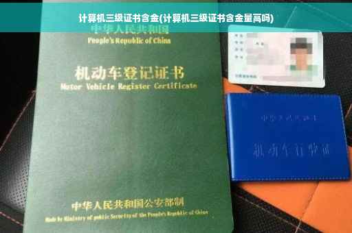 计算机三级证书含金(计算机三级证书含金量高吗)