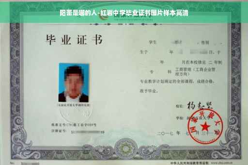 阳蕾是哪的人-红岩中学毕业证书图片样本高清