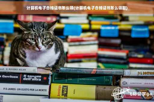 计算机电子合格证书怎么领(计算机电子合格证书怎么领取)