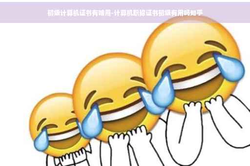初级计算机证书有啥用-计算机职称证书初级有用吗知乎