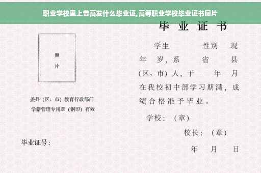 职业学校里上普高发什么毕业证,高等职业学校毕业证书图片
