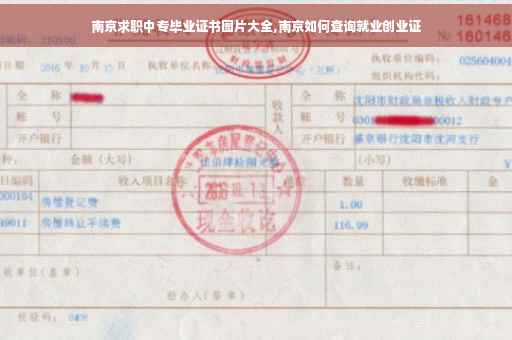 南京求职中专毕业证书图片大全,南京如何查询就业创业证