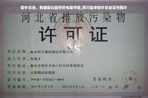 初中毕业，有哪些比较好的电脑学校,四川盐亭初中毕业证书图片