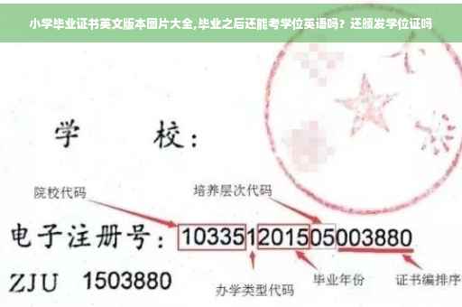 小学毕业证书英文版本图片大全,毕业之后还能考学位英语吗？还颁发学位证吗