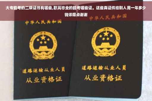 大专能考的二级证书有哪些,职高毕业的能考哪些证。这些真证件给别人用一年多少钱详细点谢谢