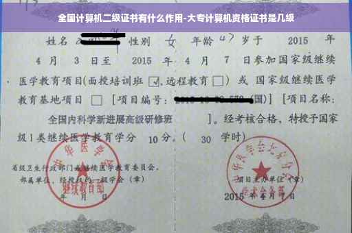 全国计算机二级证书有什么作用-大专计算机资格证书是几级